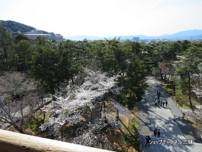 南禅寺三門上から京都市内を望む2014春